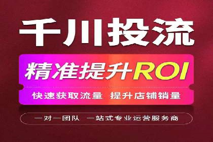推广竞价策略优化：借鉴成功案例实现精准营销